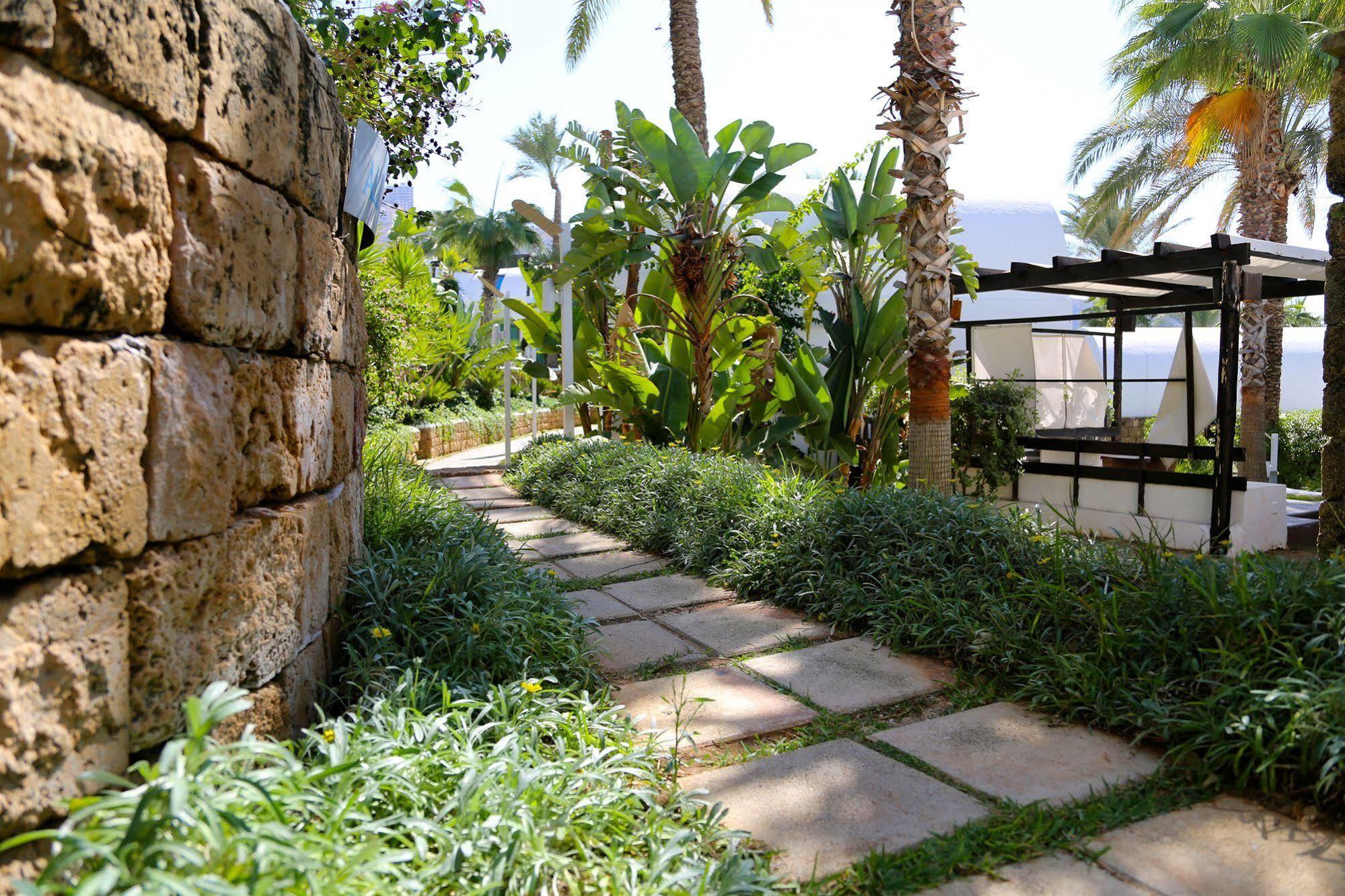Pangea Beach Resort Джийех Экстерьер фото